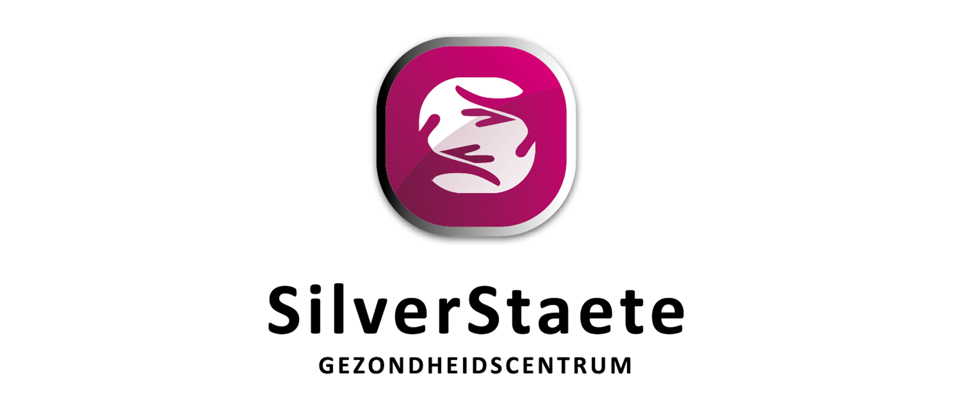 Logo Silverstaete